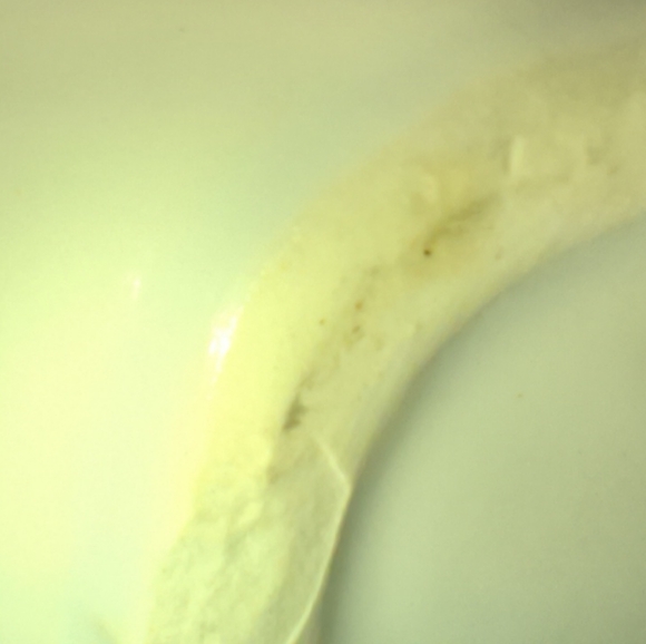 Vintage Country Kitchen Goose & Cat Ceramic double sided Napkin holder - Picture 9 of 9